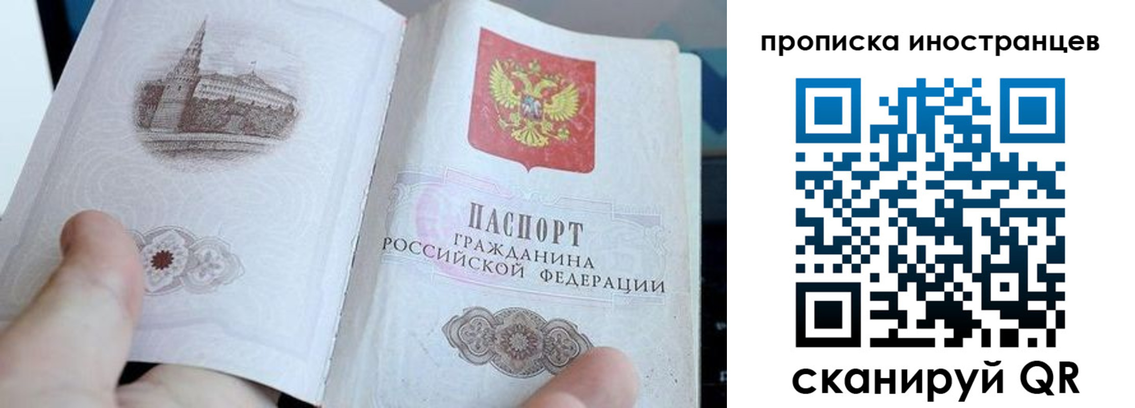 прописка поиск в Гороховце